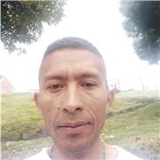 Profesional multifacetico con muy buena experiencia y compromiso